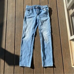 American Eagle Men's Slim Straight Jeans